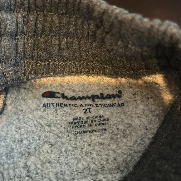 2T girls champion sweat pants - Picture 3 of 3